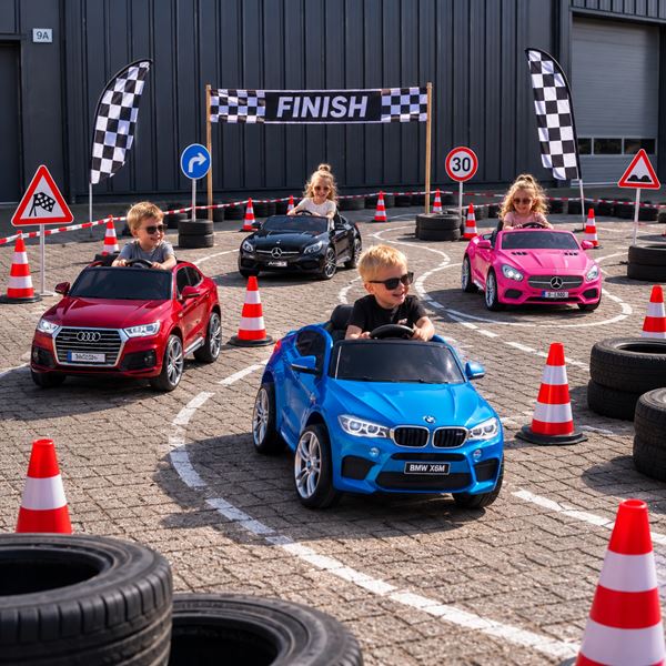Mini VIP Car Experience